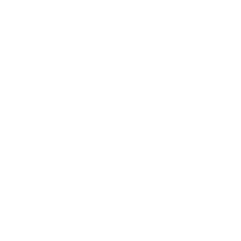 VIDEO VERTICAL