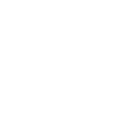 VIDEO VERTICAL